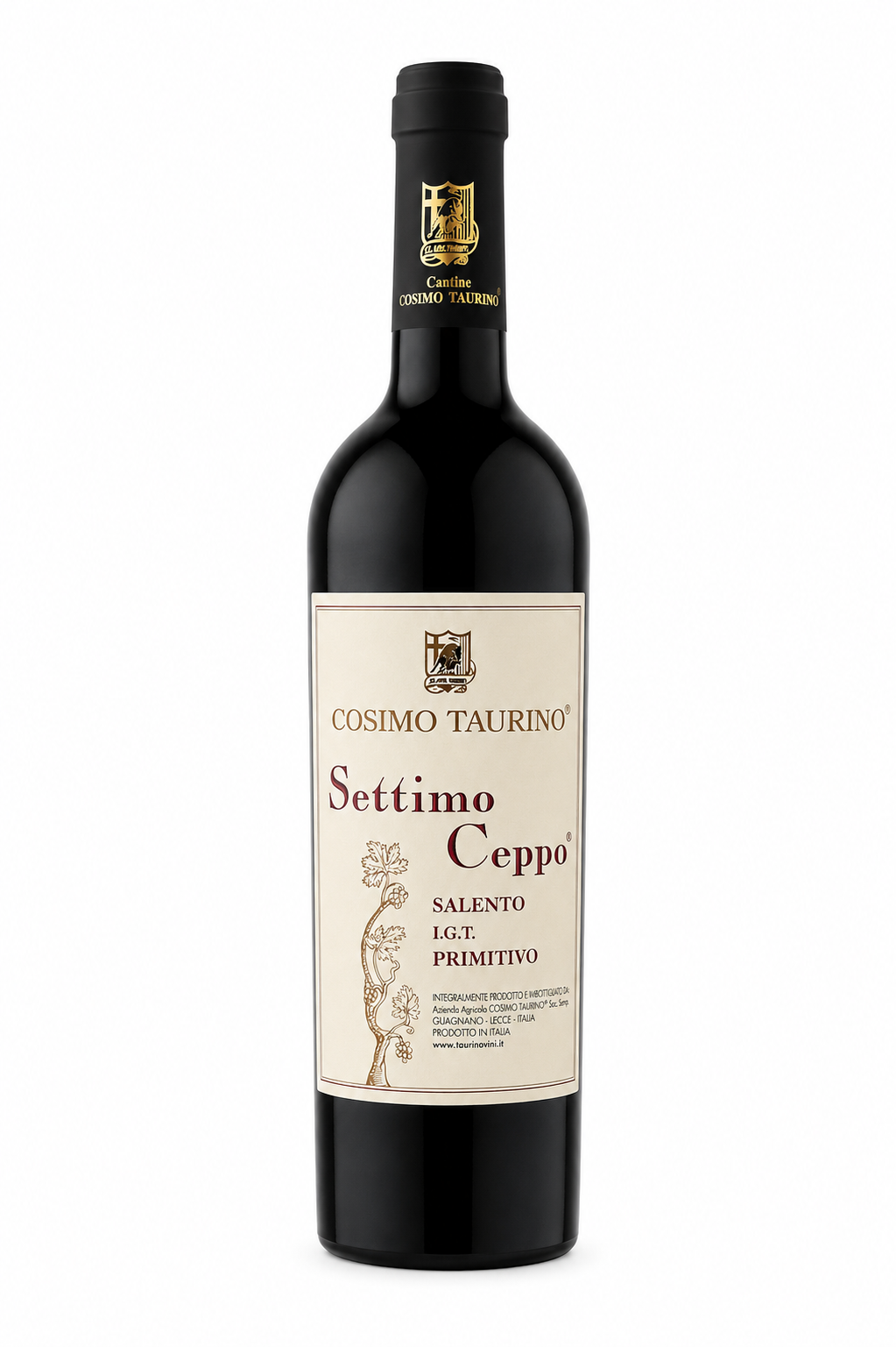 7°CEPPO