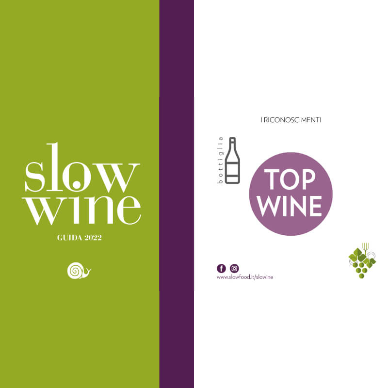 slow wine 2022 top wine taurino vini