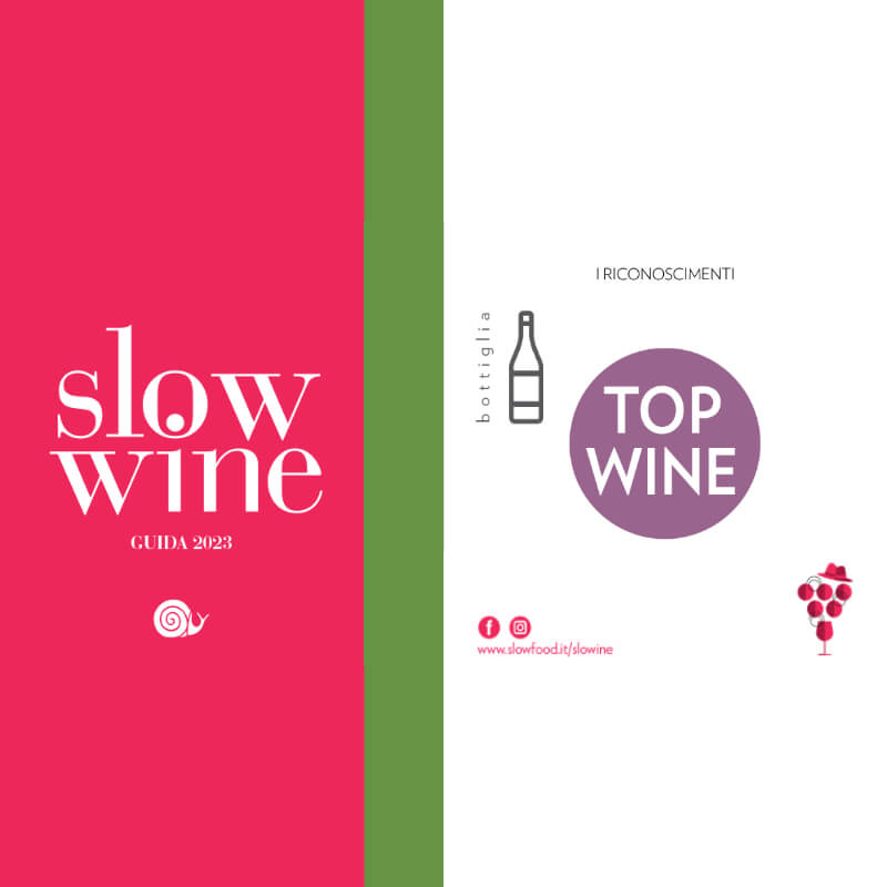 slow wine 2023 top wine taurino vini